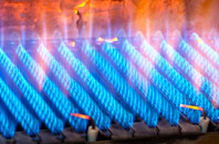 Castell Y Bwch gas fired boilers